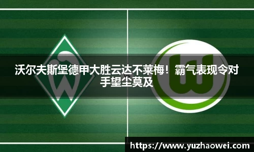 芒果体育